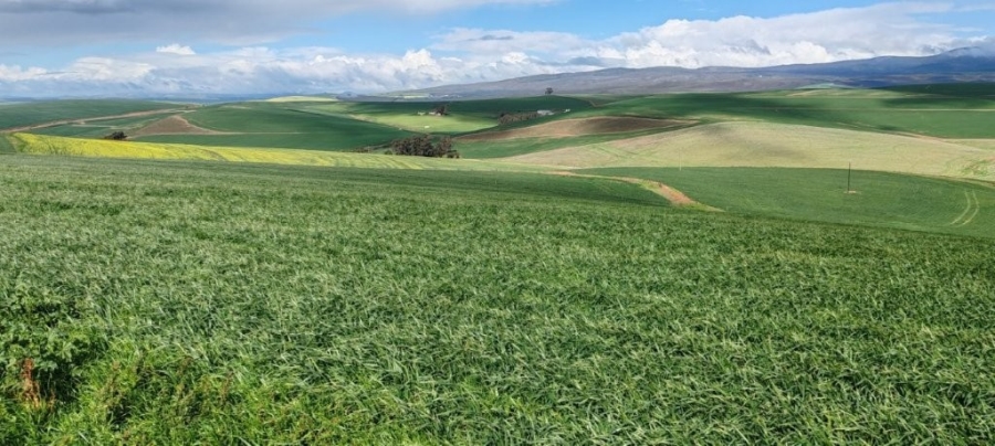 0 Bedroom Property for Sale in Caledon Western Cape